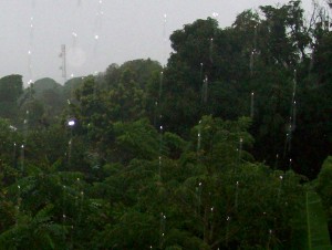 Tropical Storm Richard on Utila
